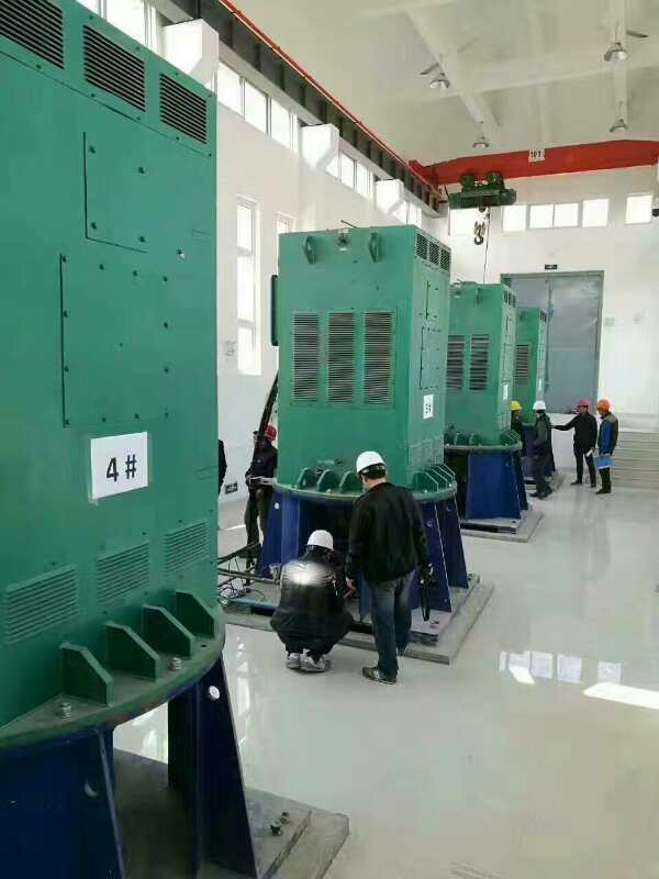 双江某污水处理厂使用我厂的立式高压电机安装现场